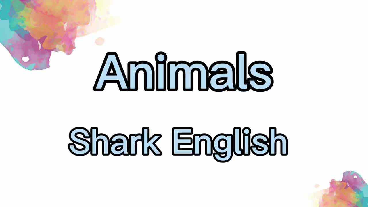 鲨鱼英语兴趣课———animals