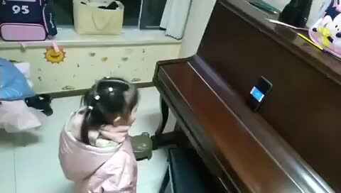 友好相处