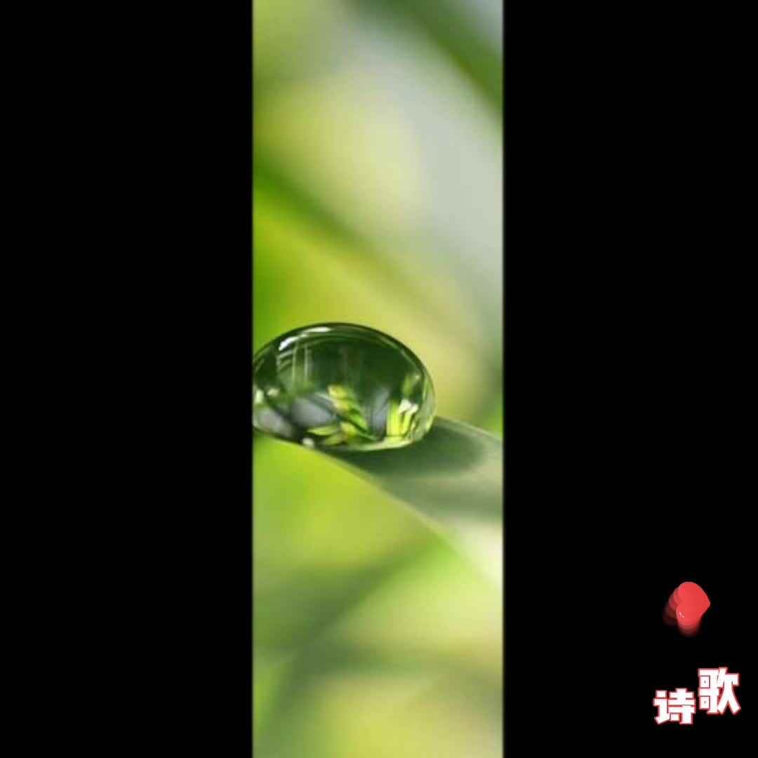 诗歌《我要歌唱》