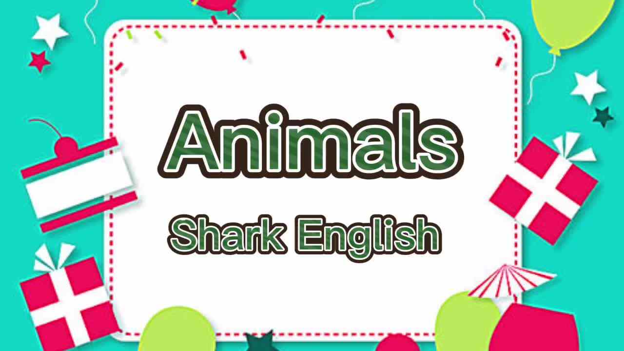 鲨鱼英语兴趣课———Animals