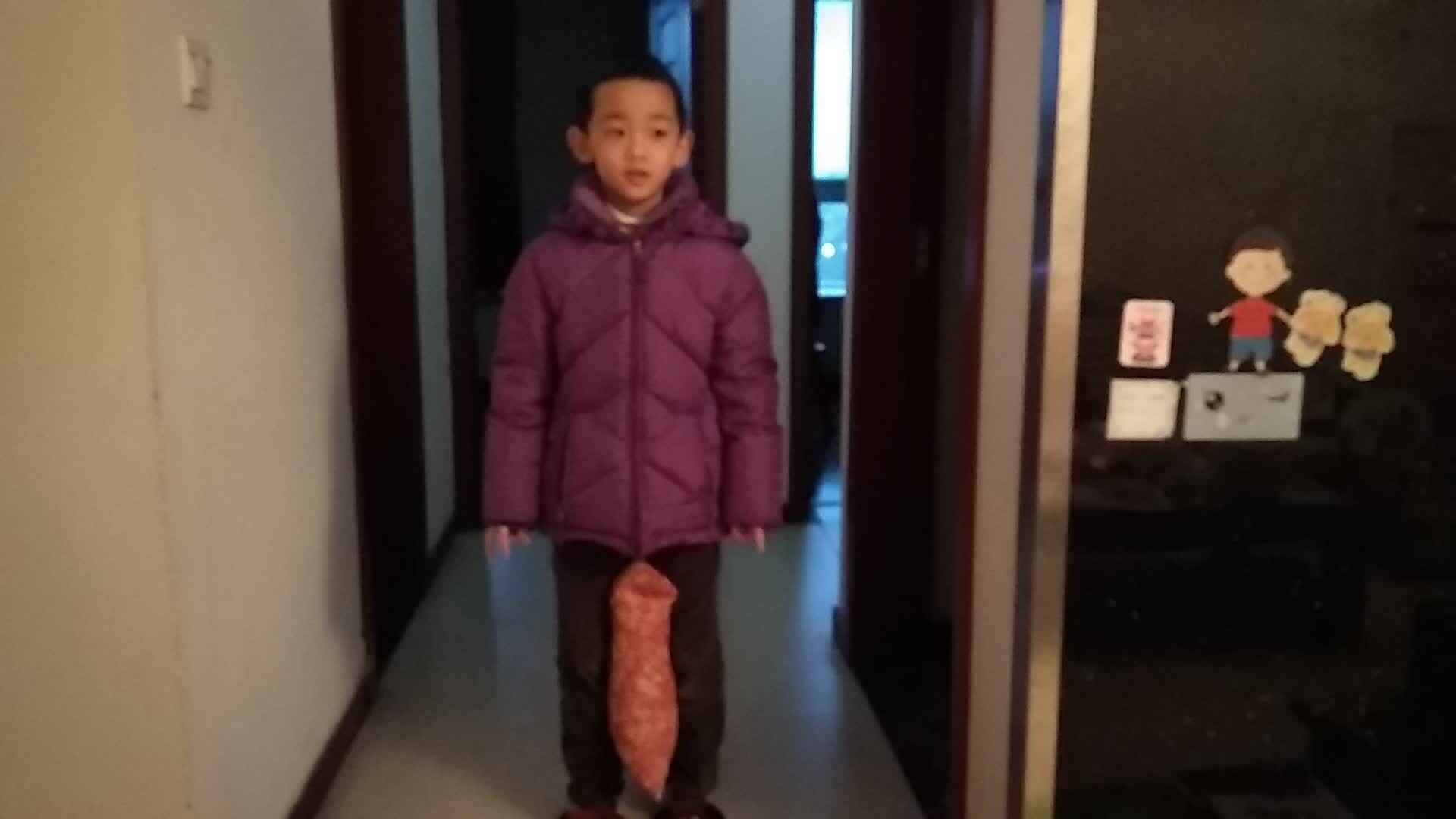 夹物跳