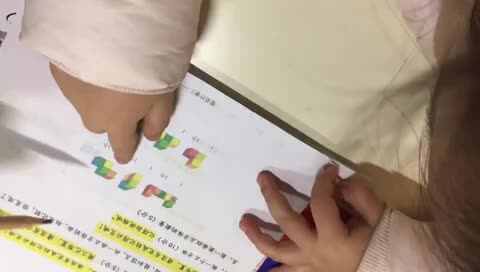 20201206大C班张睿瑾《正方体的数量》