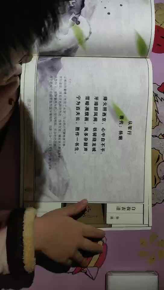 王梓琛作业《从军行》.mp4