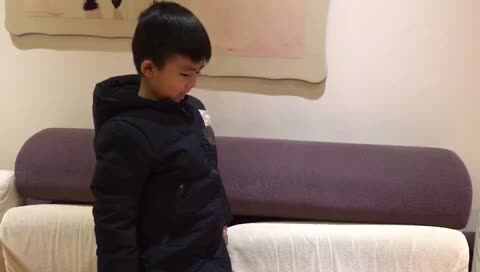 舞动的蛇