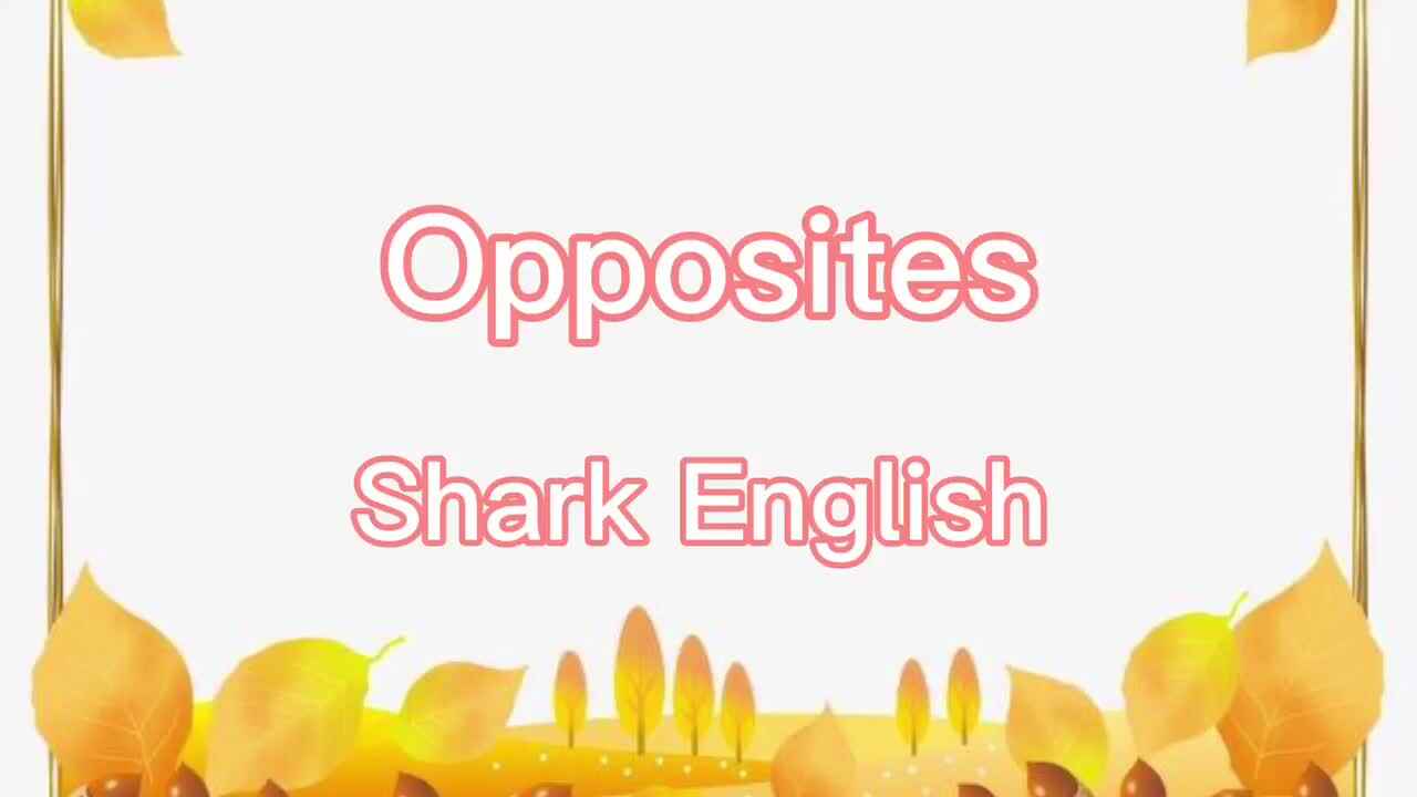 鲨鱼英语兴趣课———opposites