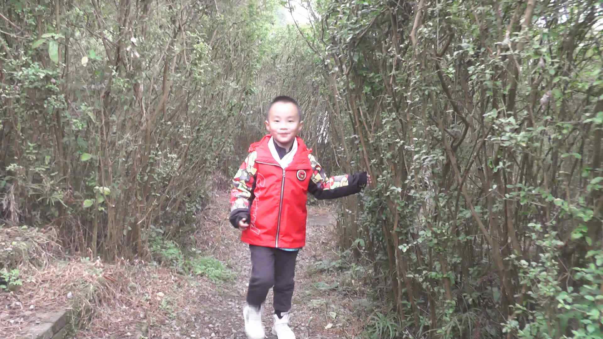三字经.mp4