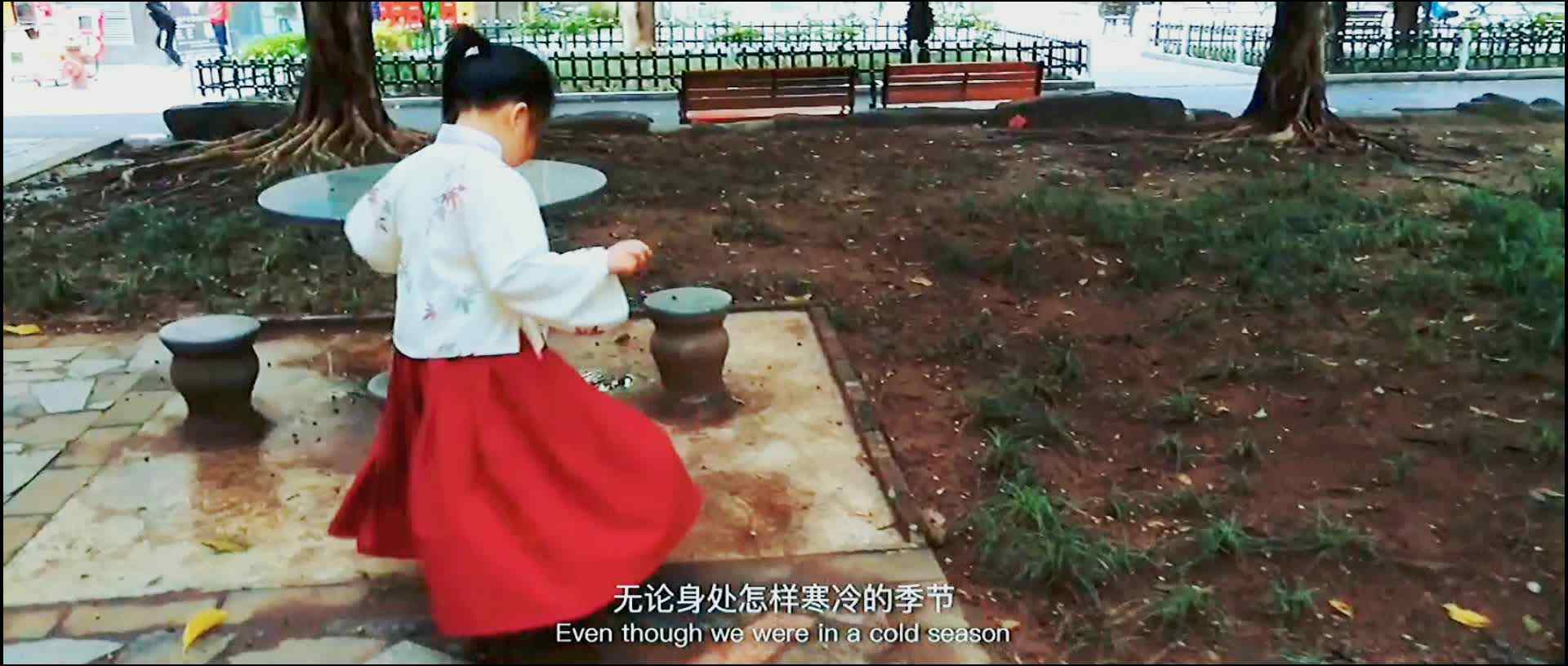 夺冠故事王参赛作品《采莲赋》