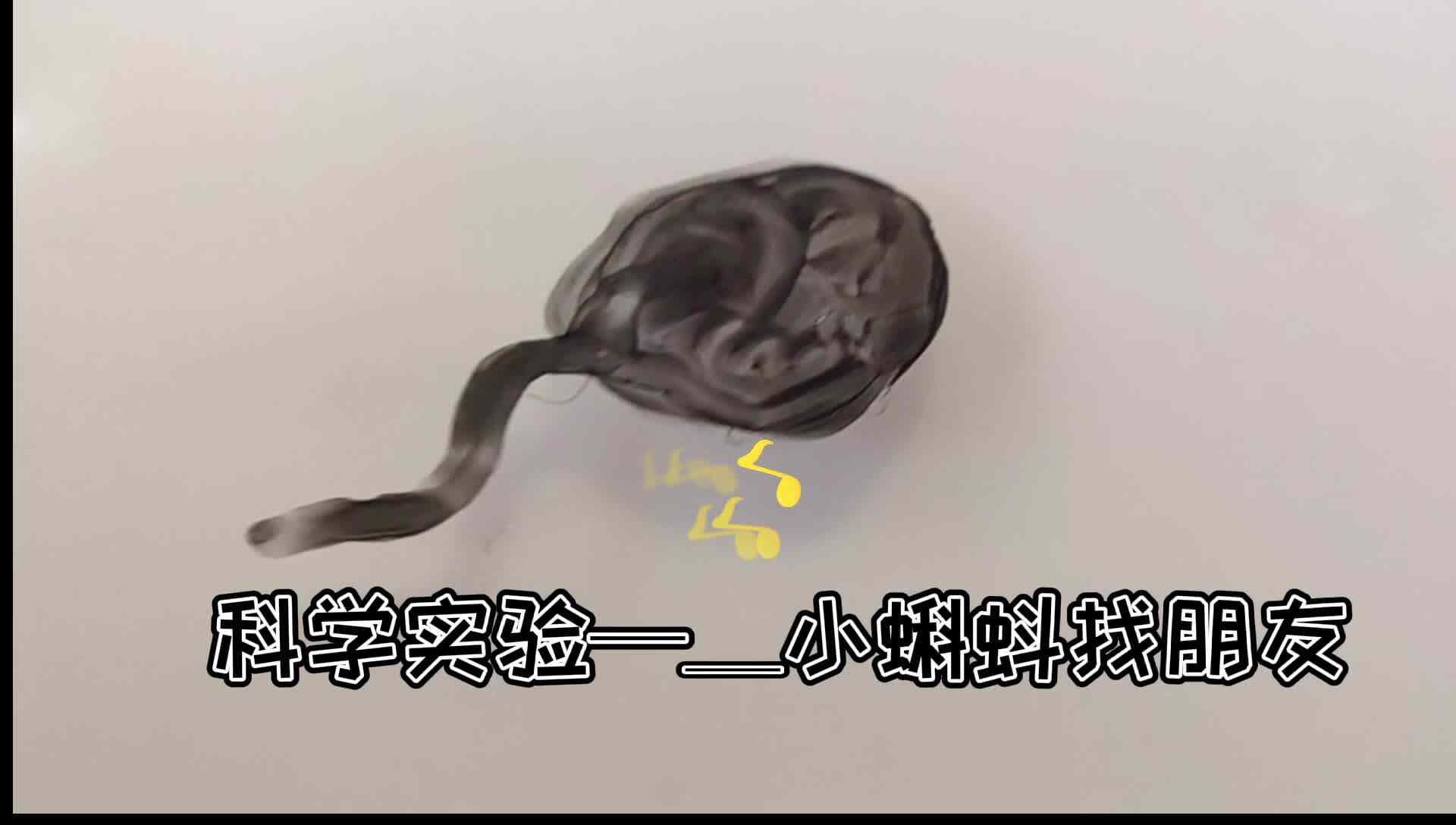 小蝌蚪找朋友.mp4