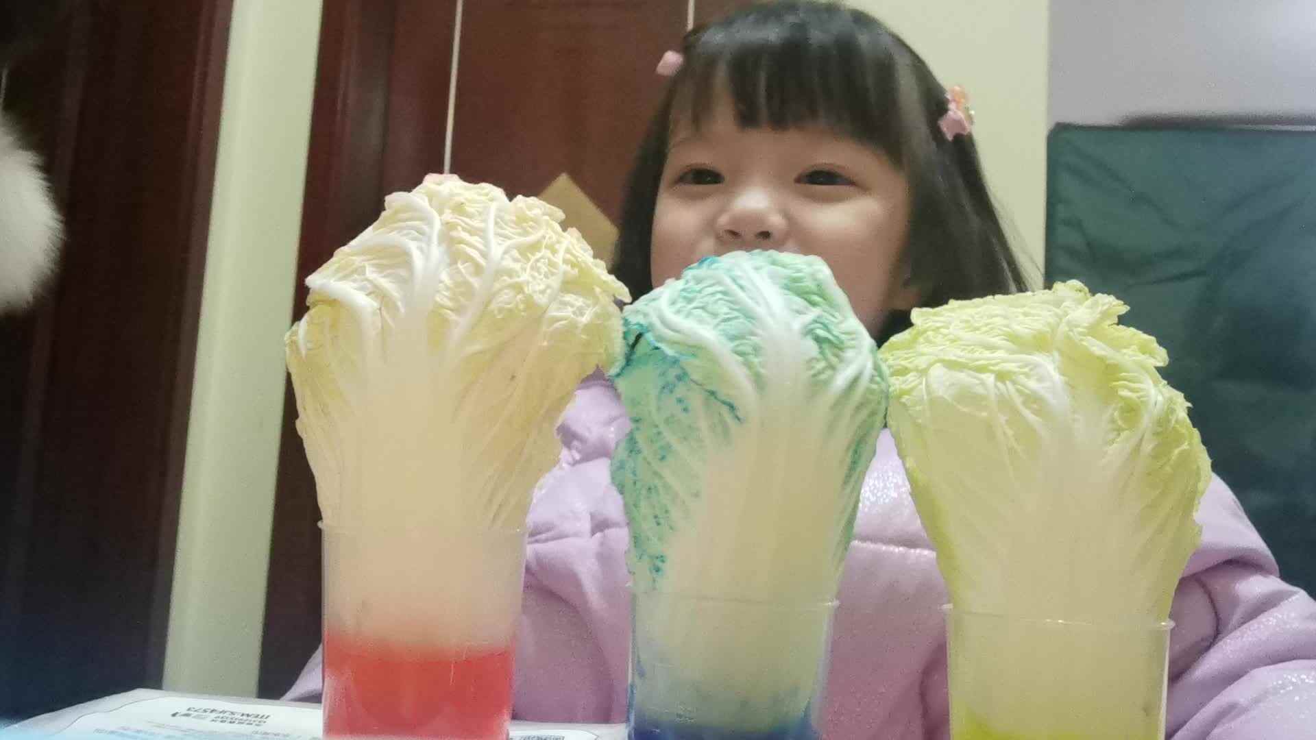 VID_20201209_185251.mp4