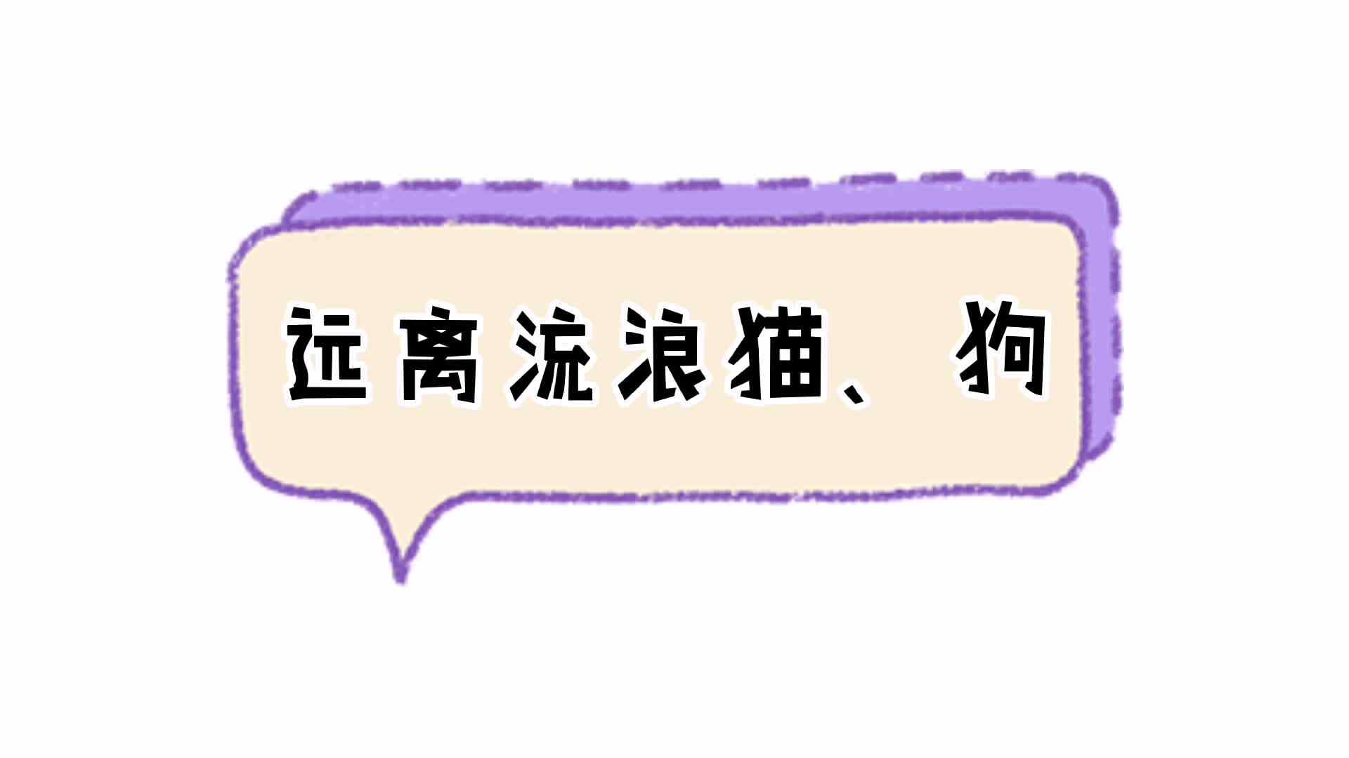 远离流浪猫、狗