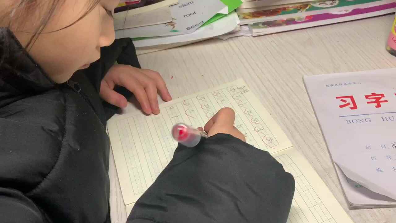 2021.1.11学A严一晨-拼音听写