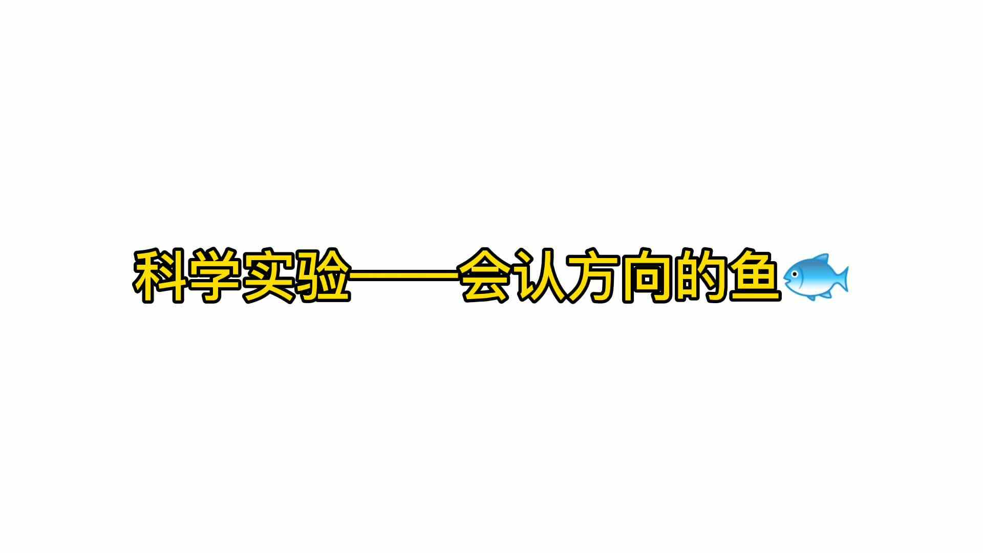 实验大班科学实验——会认方向的鱼