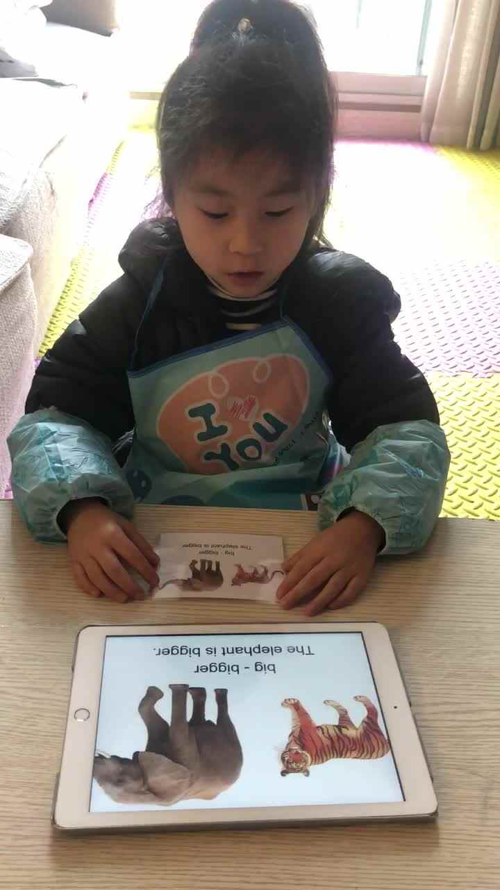 英语复习