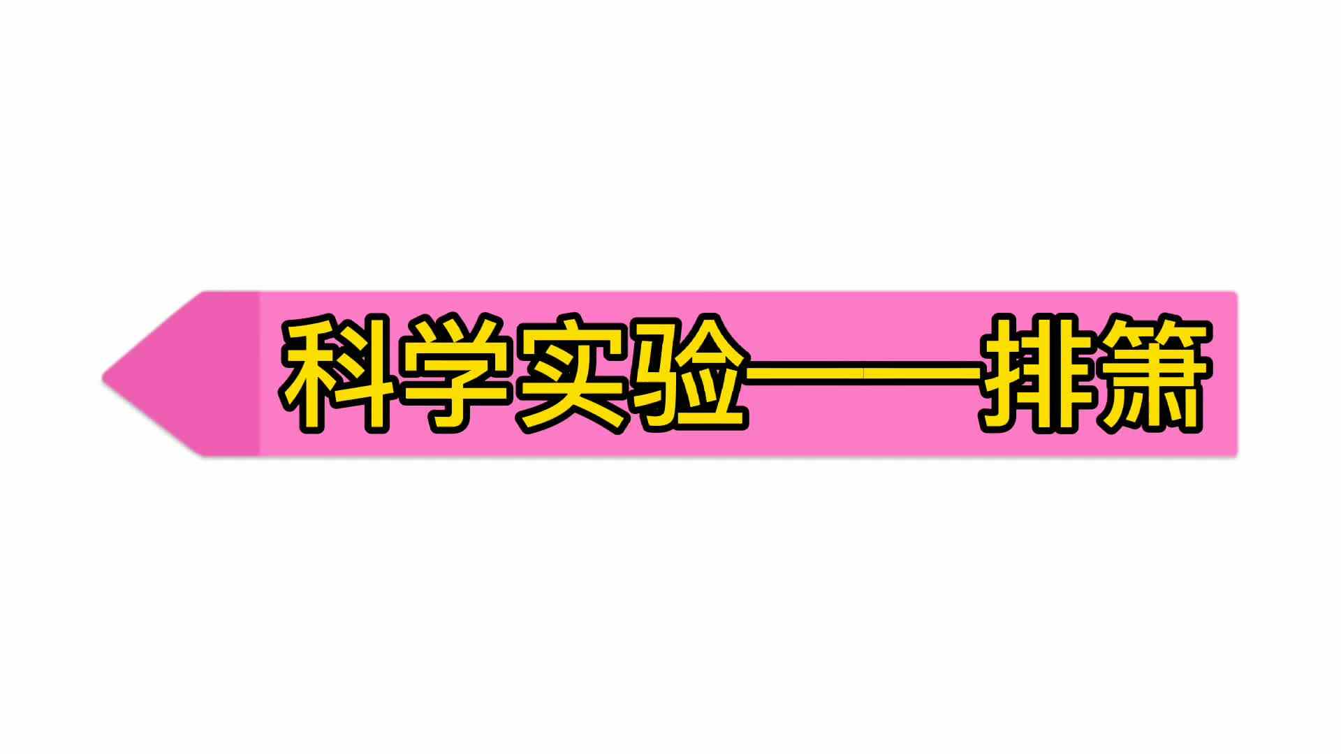 实验大班科学实验——排箫