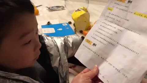 派特的工作