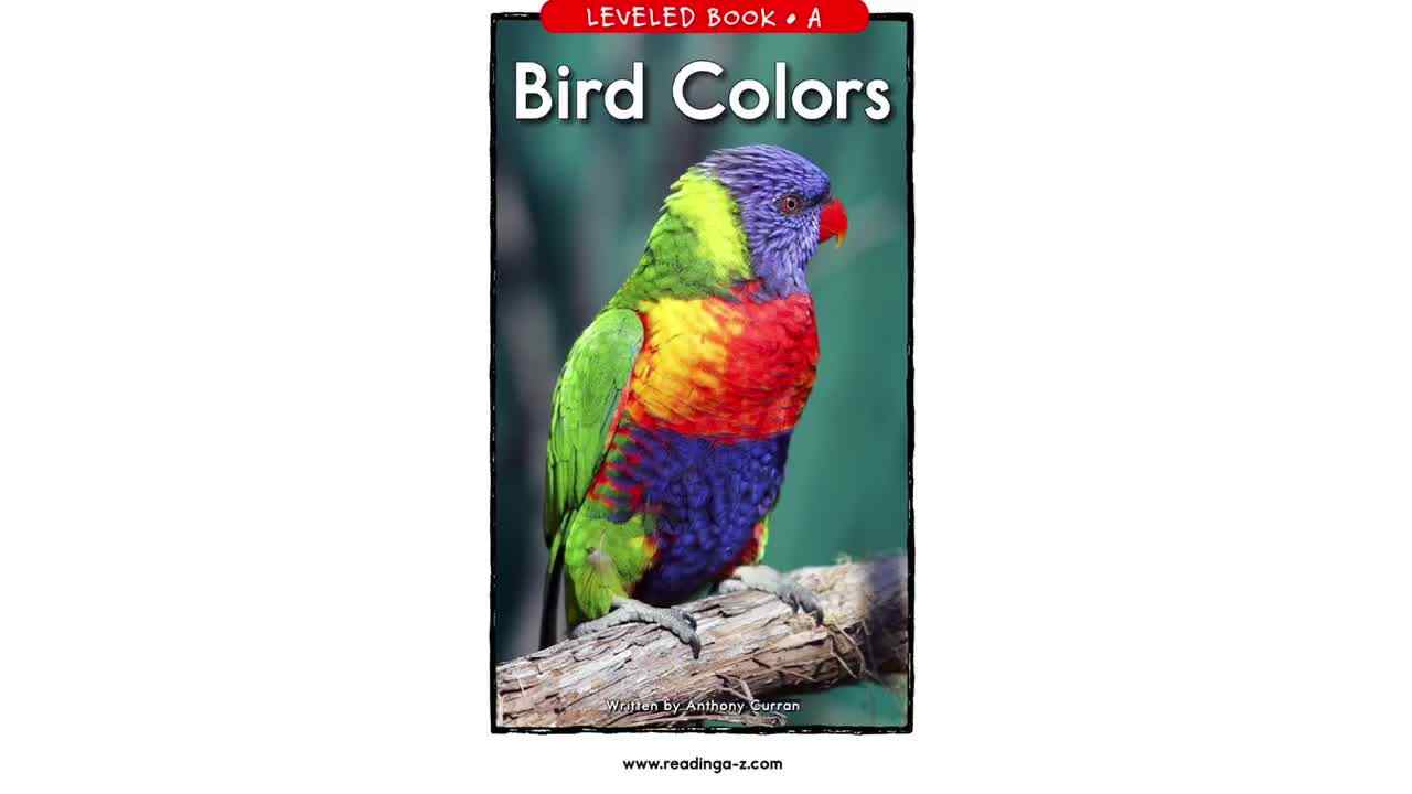 RAZ-A-Birds Colors