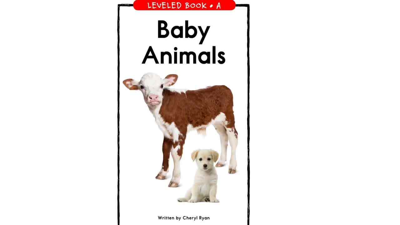 RAZ-A-Baby Animals