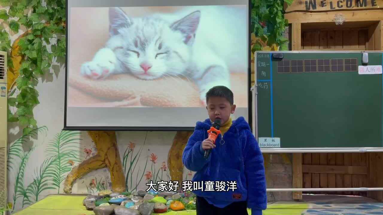 Tom演讲《有趣的动物——猫》