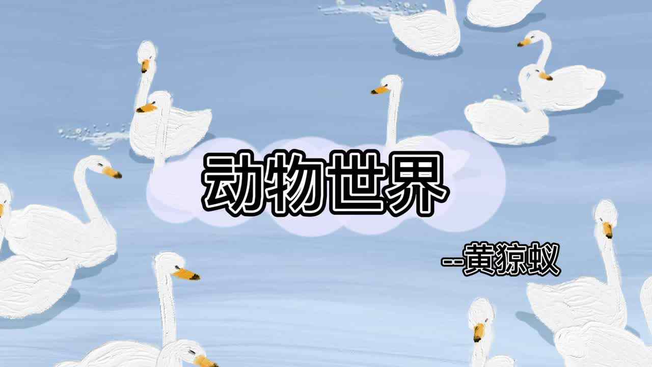 动物世界--黄猄蚁