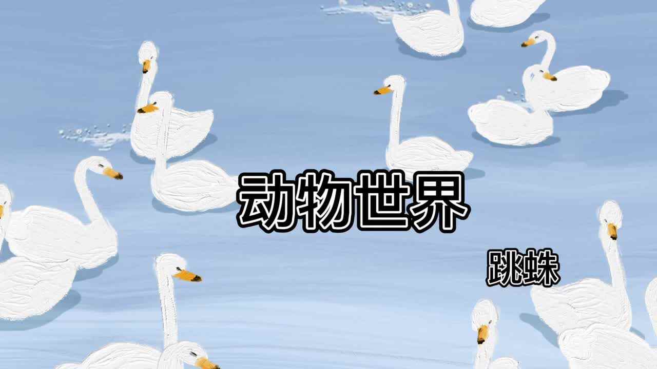 动物世界--跳蛛