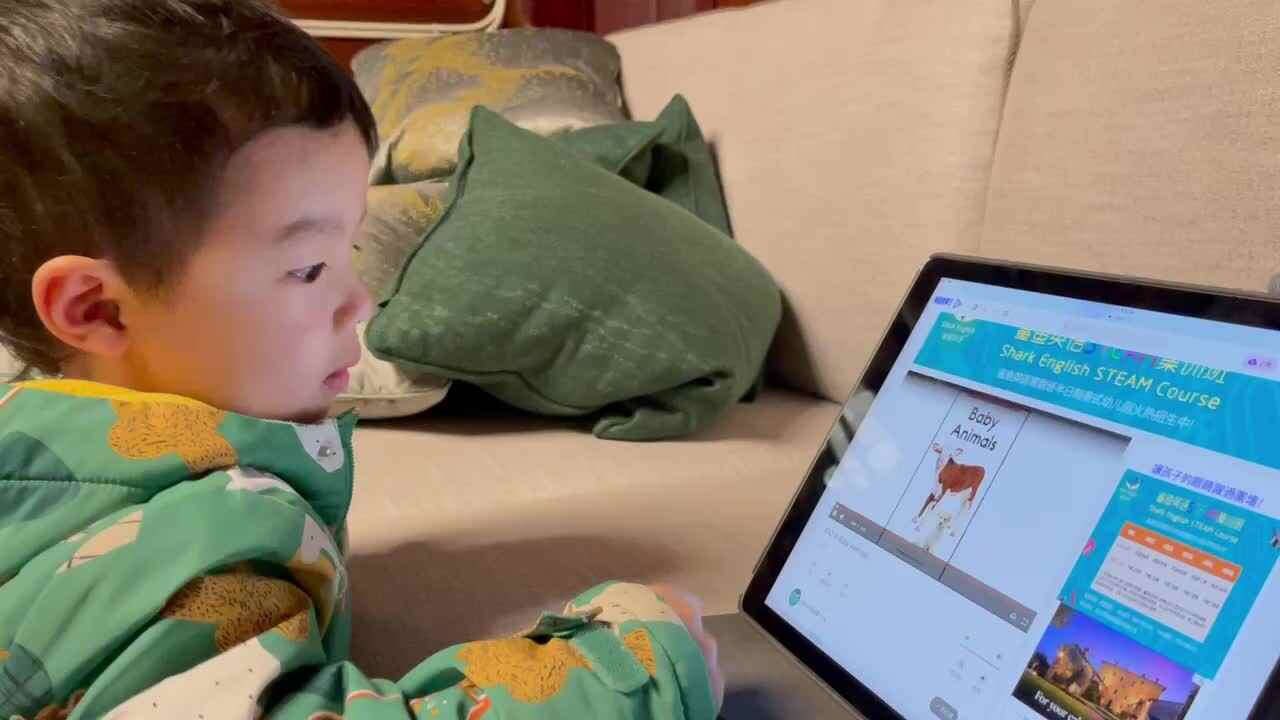 Baby Animals 绘本跟读