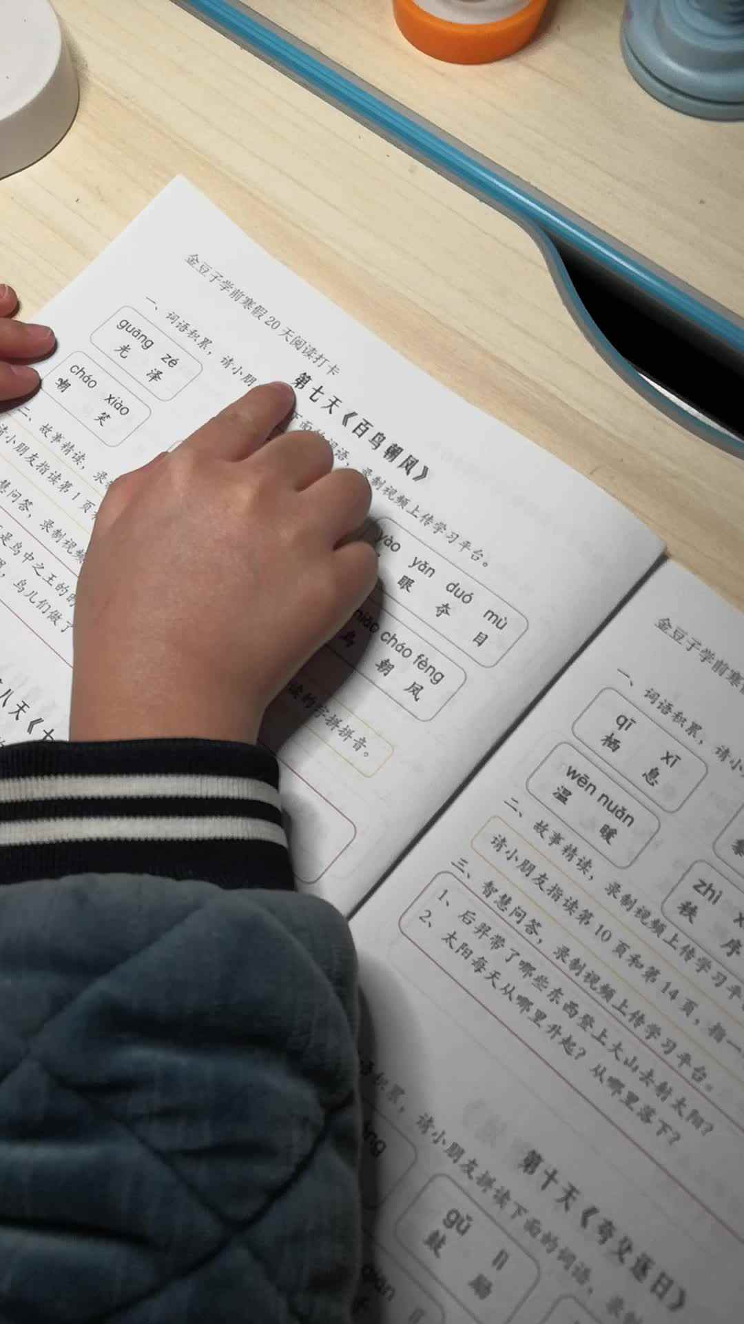 实验2班蔡雨晨打卡《百鸟朝凤》