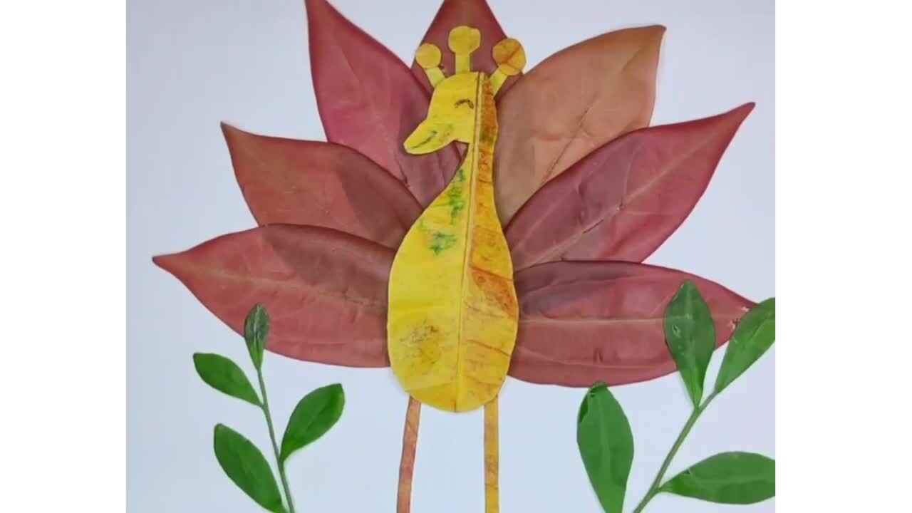 孔雀开屏