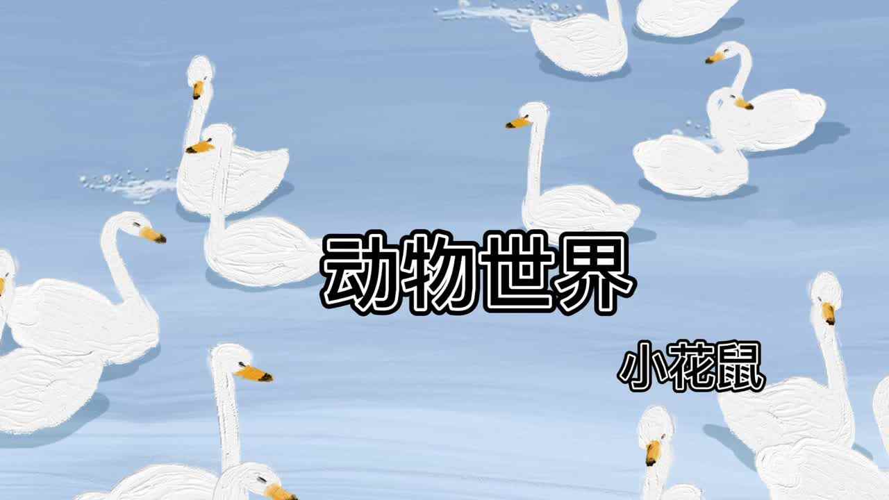 动物世界--小花鼠