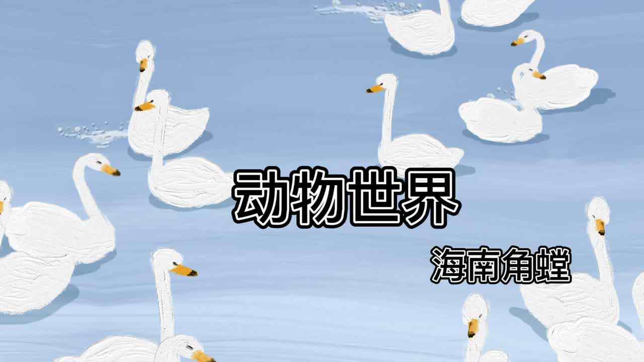 动物世界--海南角螳