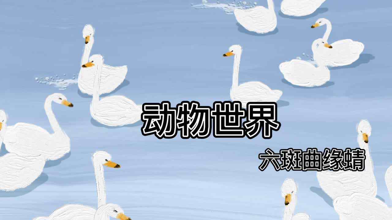 动物世界--六斑曲缘蜻