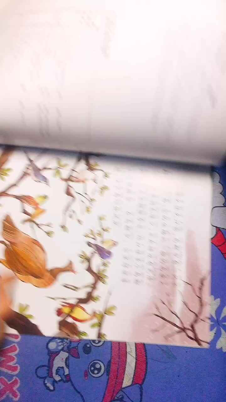 实验1班杨寓翔《百鸟朝凤》