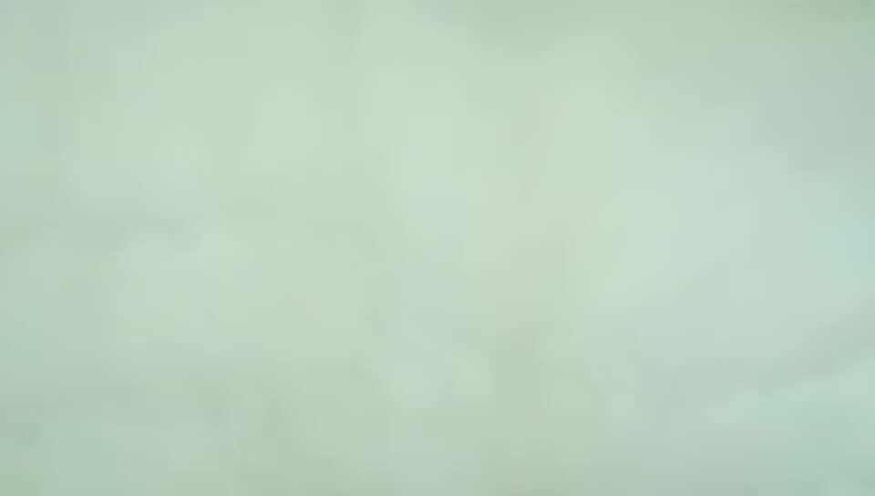 mmexport1614414159280.mp4