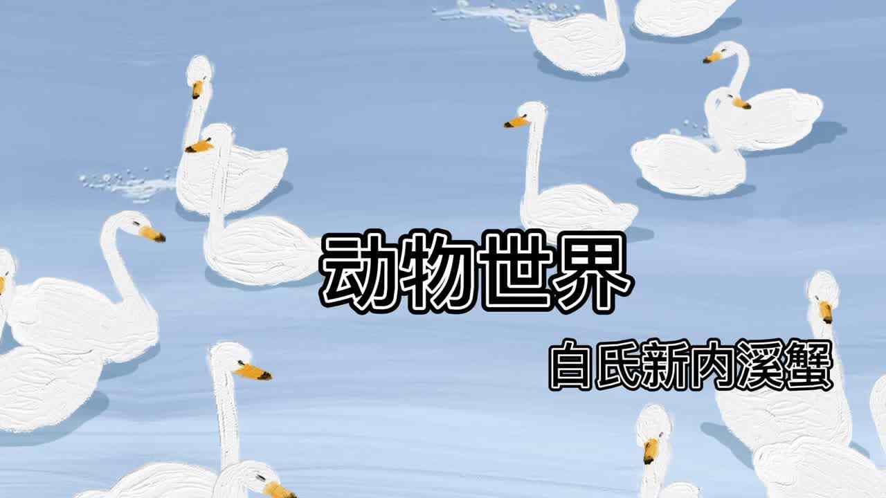 动物世界--白氏新内溪蟹