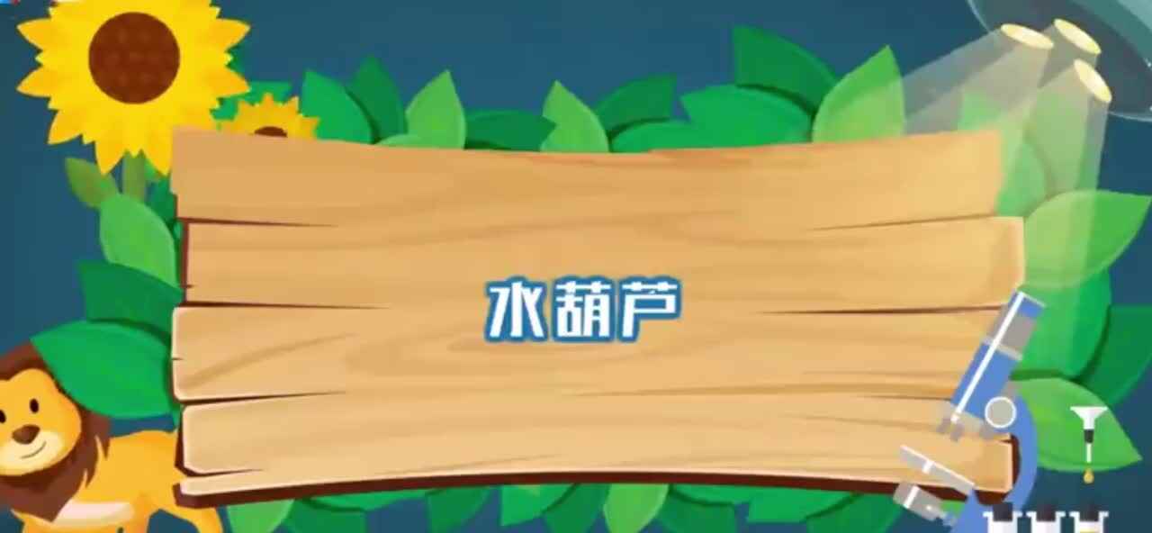 植物知多少-水葫芦