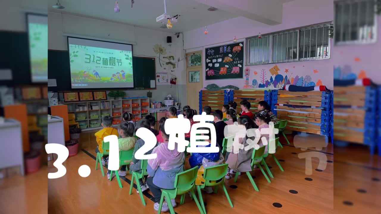 3.12 植树节