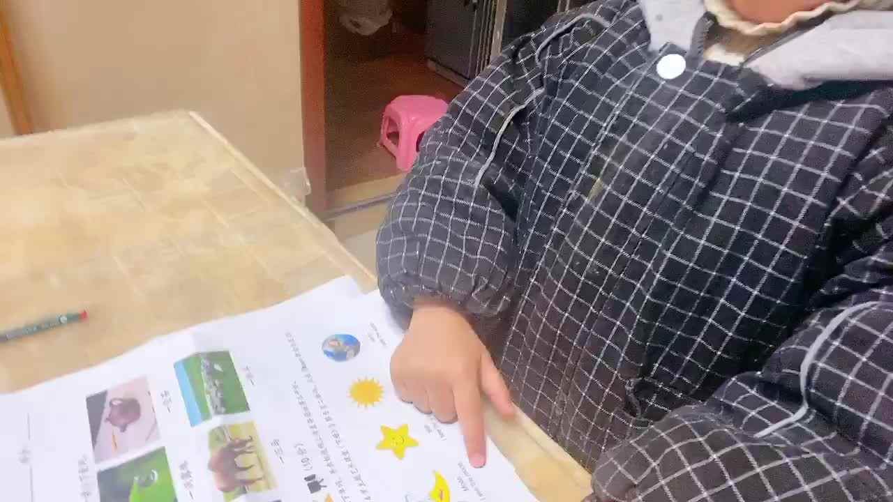 《英语单词练习》