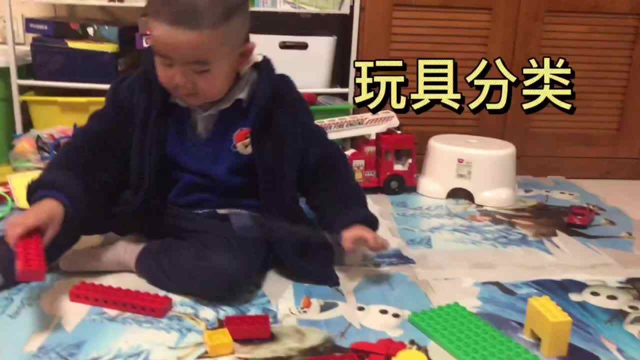 2021.3.15胡义多闯关练习《玩具分类》.MOV