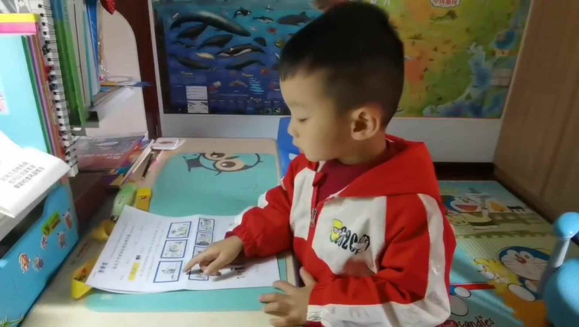 《寻宝》.mp4