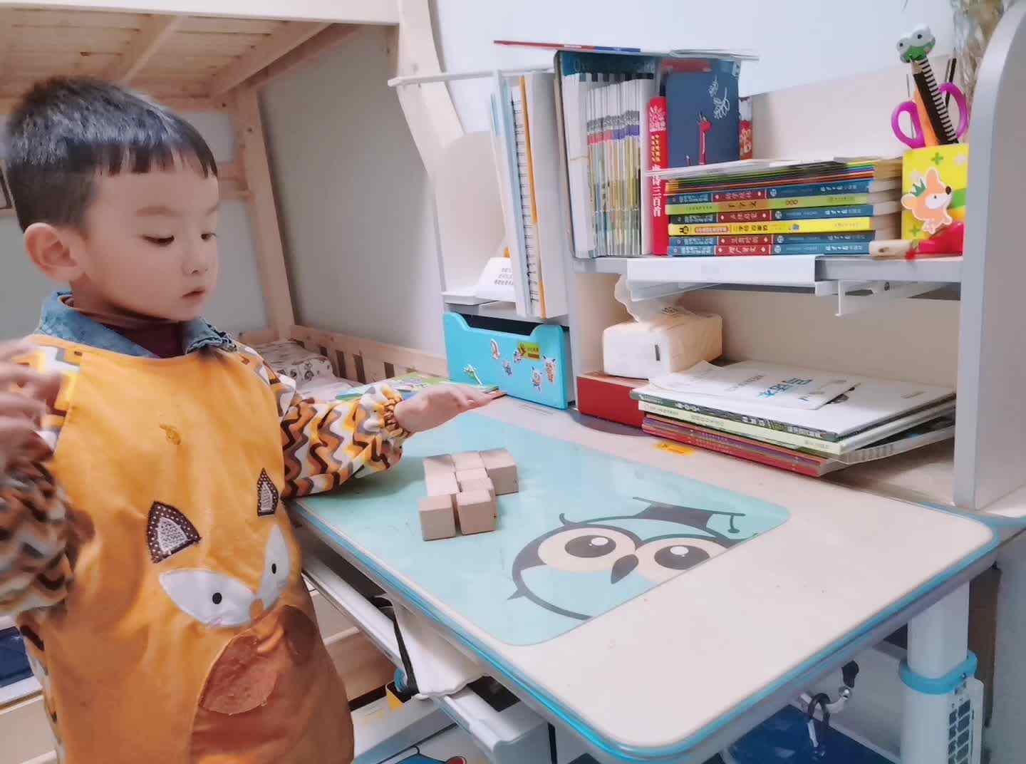 《认识数字12》mp4