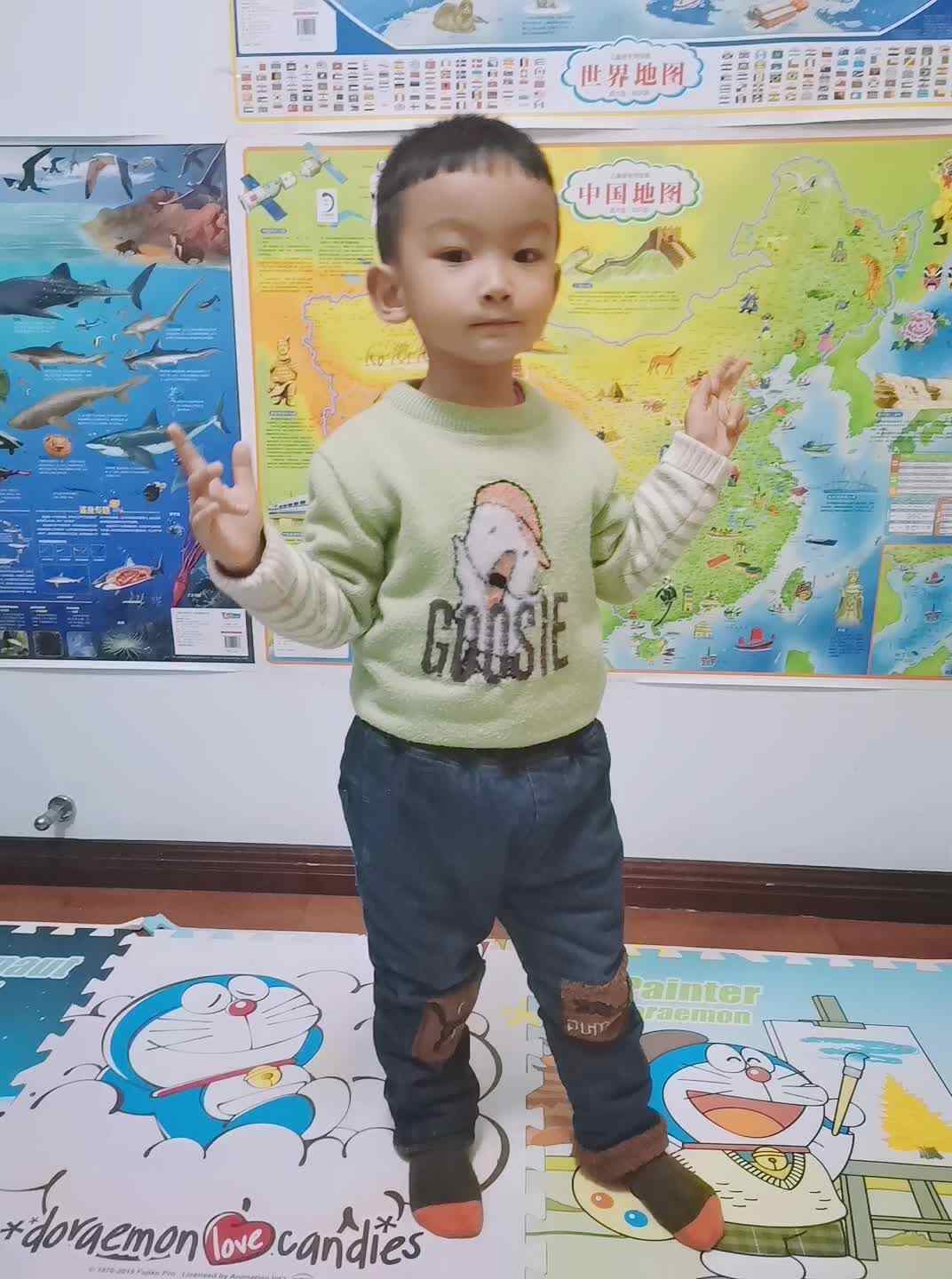 《小花园与大花园》mp4