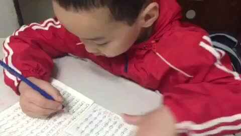 大C班 袁承泽泰《书写数字5》
