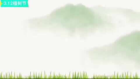 怎样保护树木