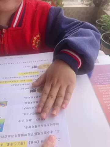 大C班丶李北辰古诗看图排序