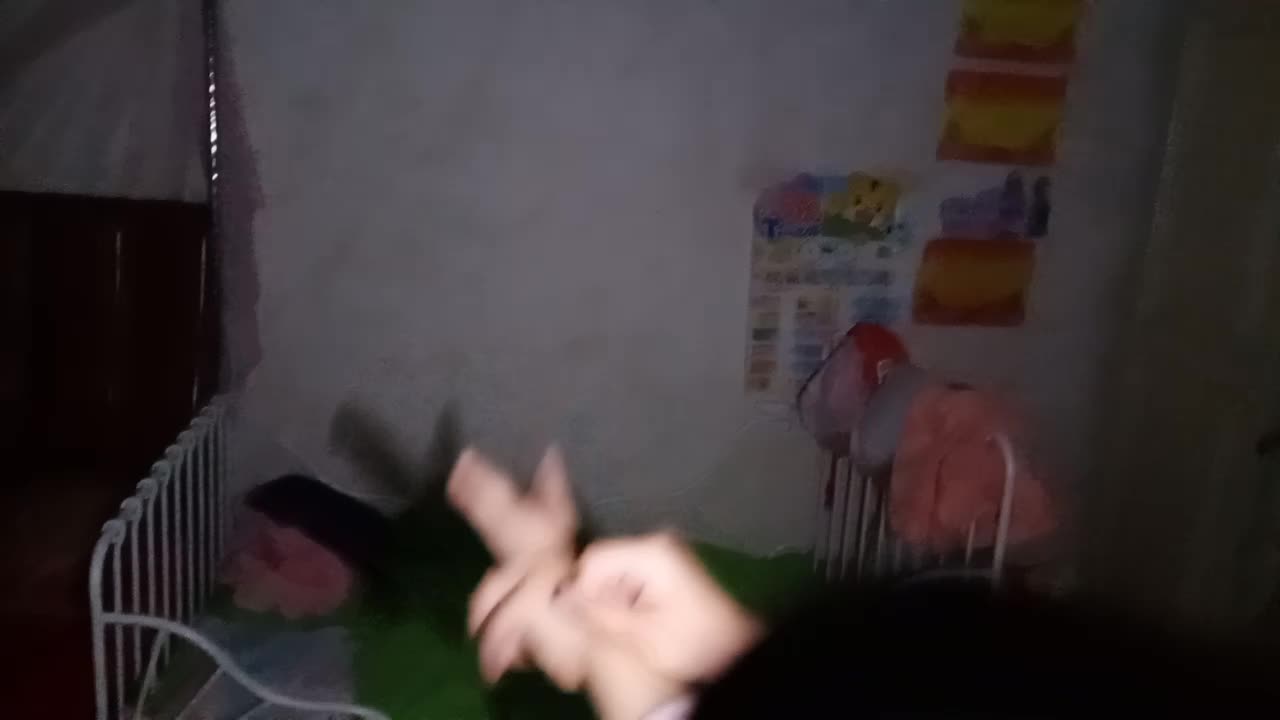 影子游戏