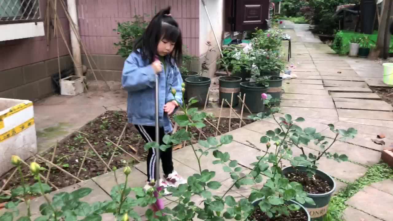 张嘉倪作业《扫地》