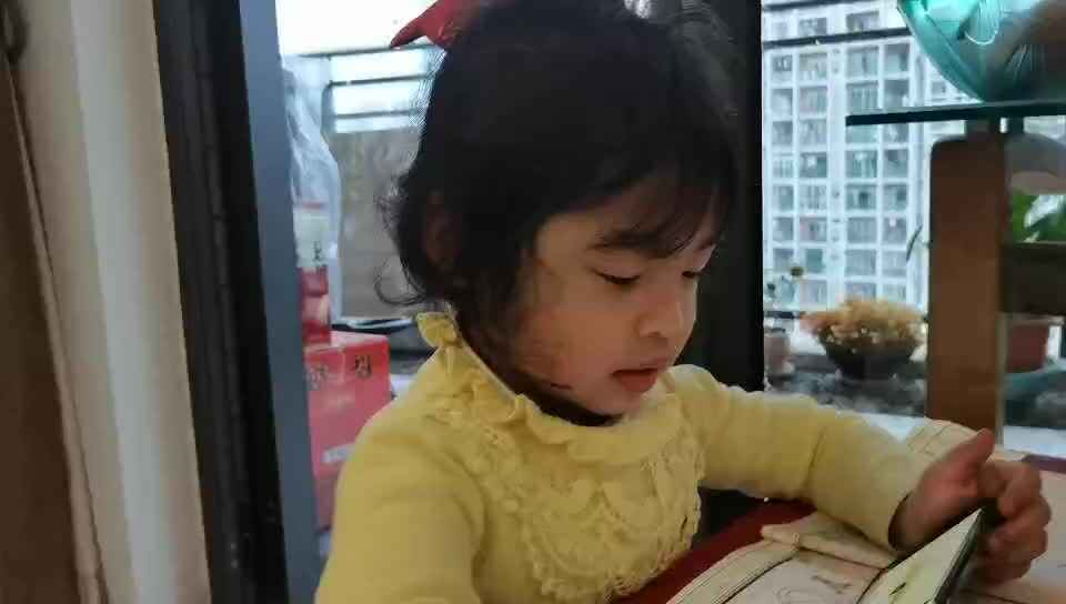 3.7.古诗-登乐游园—小A班张智研