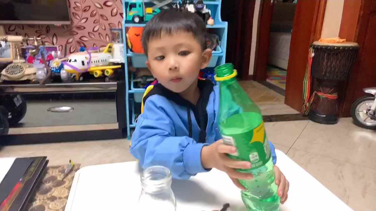 2021.4.24科学小实验--海底世界
