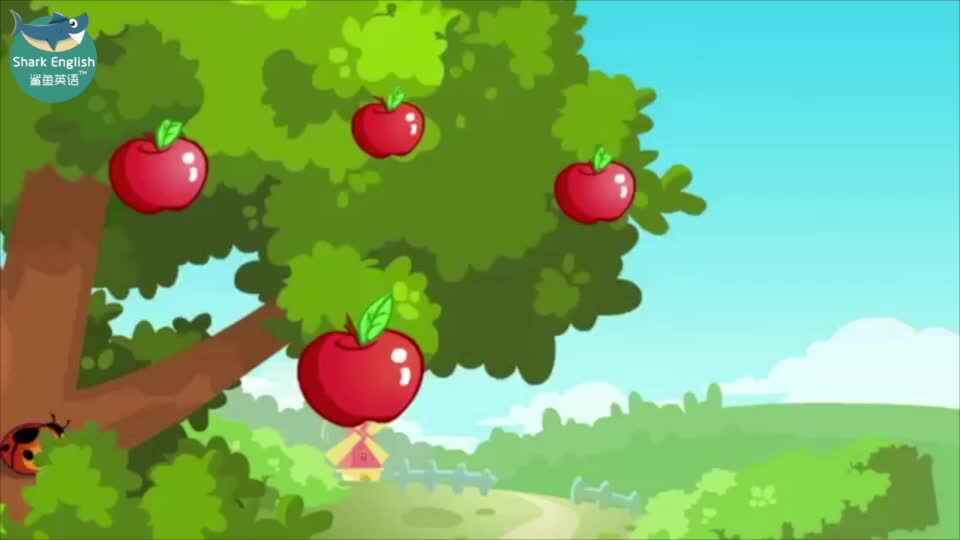 Apple Round Apple Red 苹果圆苹果红