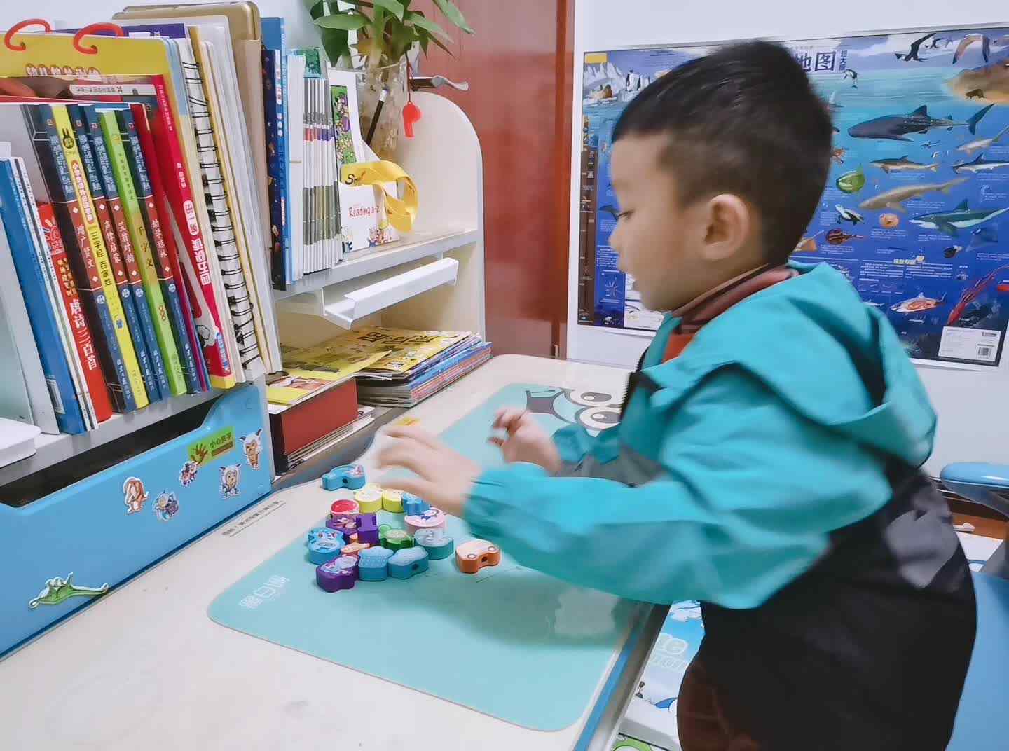 《认识数字15》.mp4