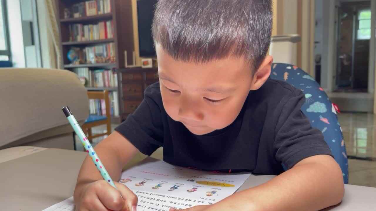 补充对称图形